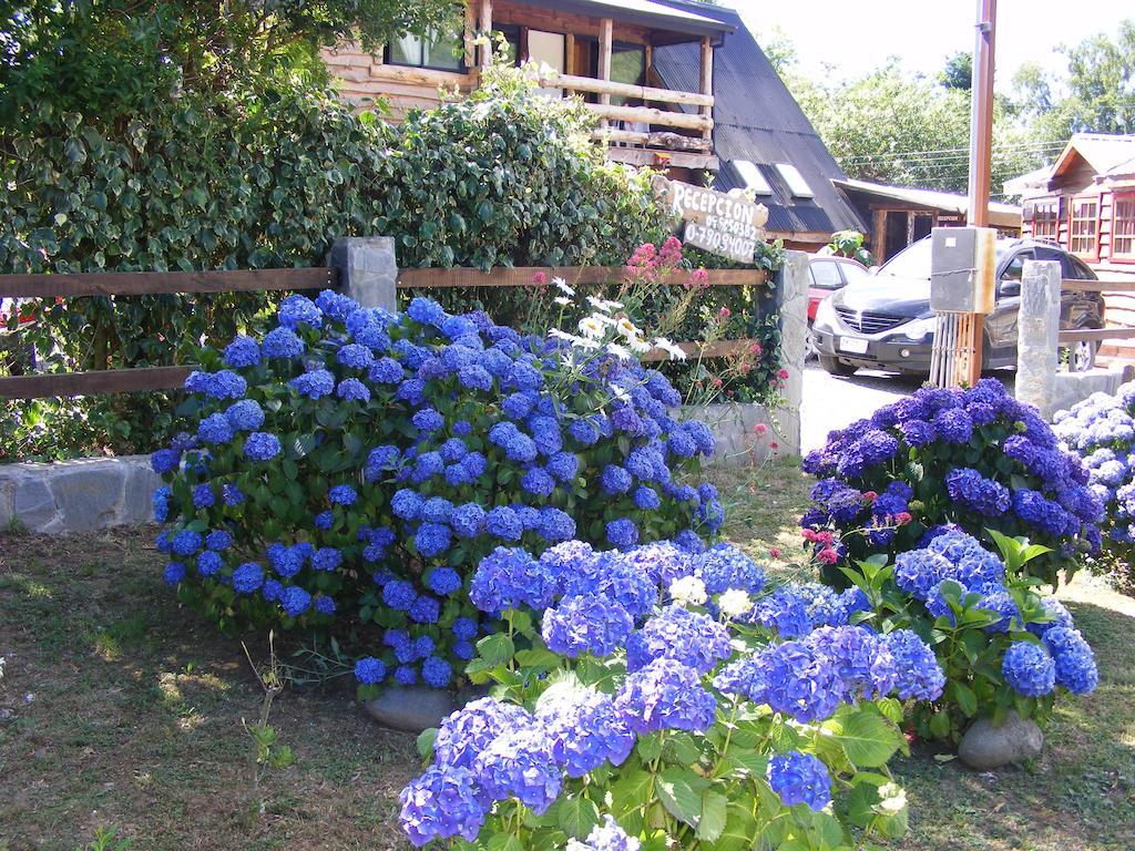 Cabanas Las Hortensias Hotel Niebla Luaran gambar