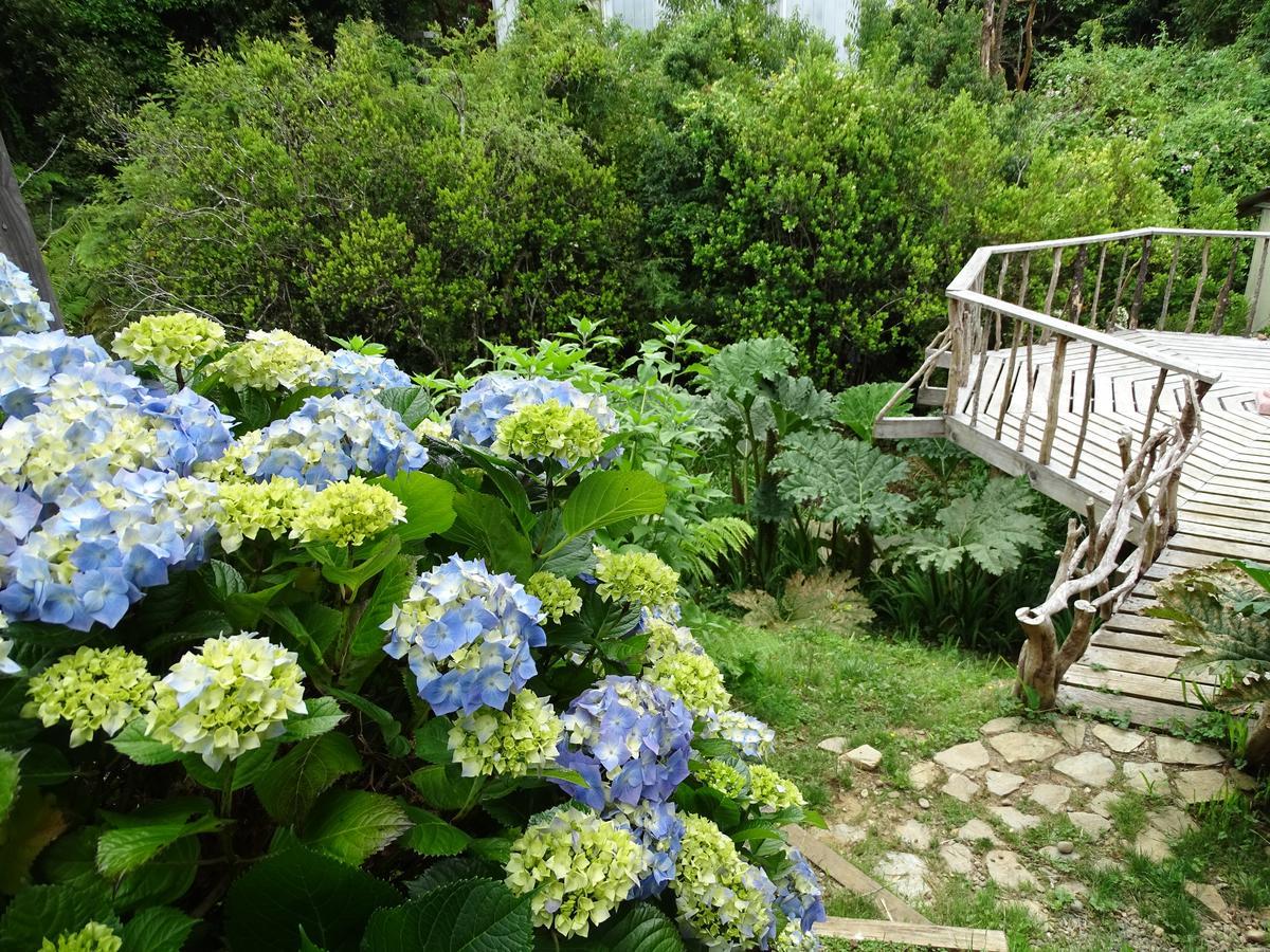 Cabanas Las Hortensias Hotel Niebla Luaran gambar